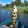 Eurasian perch