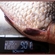 Crucian carp