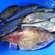 Carp bream