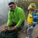 Carp bream