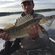 Pike perch
