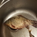 Crucian carp