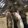 Atlantic cod