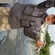 Pike perch