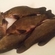 Tench
