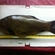 Tench