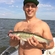 Pike perch