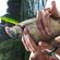 Carp bream