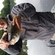 Eurasian perch