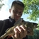 Eurasian perch