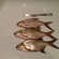 Carp bream