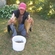 Carp bream