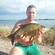 Carp bream