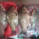 Prussian carp