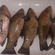 Prussian carp