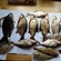 Carp bream