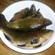 Tench