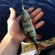 Eurasian perch