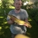 Wels catfish