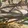 Grayling
