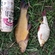 Tench