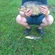 Carp bream