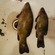 Tench