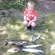 Pike perch