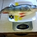 Eurasian perch