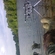 Carp