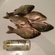 Crucian carp
