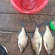 Carp bream