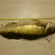 Pike perch