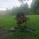 Grass carp