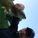 Grass carp