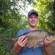 Carp bream