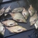 Carp bream