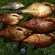 Carp bream