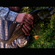 Pike perch