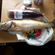 Pike perch