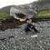 Mackerel