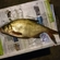 Carp bream