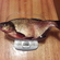 Carp bream