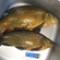Tench