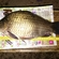 Prussian carp