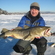 Atlantic cod