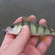 Eurasian perch