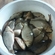 Prussian carp