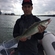 Pike perch