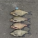 Carp bream